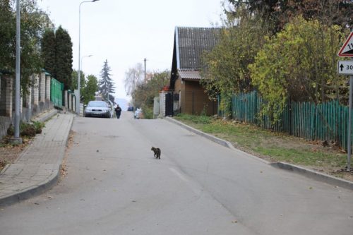 Šnipiškėse atsiras pirmoji bendrojo naudojimo (shared space) gatvė