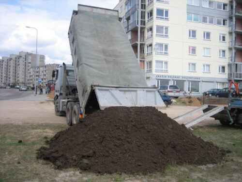 JUODŽEMIO SKALDOS ZVYRO PARDAVIMAS, 065907990