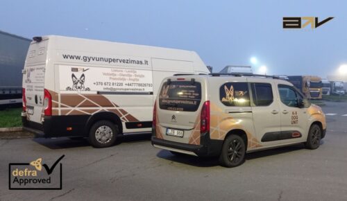 Licencijuotas tarptautinis gyvūnų pervežimas