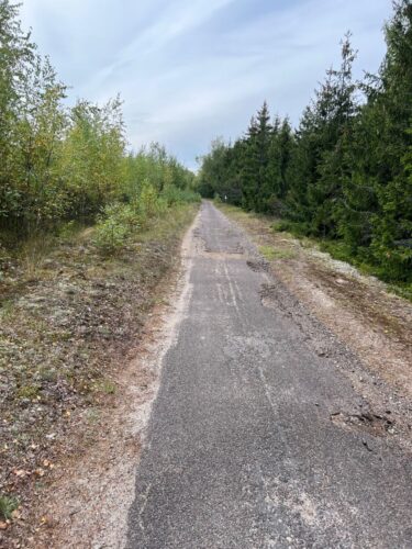 Pasiekti Nidą dviračiu bus patogiau: „YIT Lietuva“ rekonstruos pagrindinį Kuršių nerijos dviračių taką