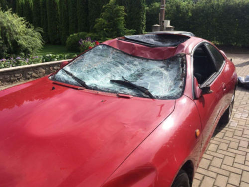 Vairuotojai dalinasi skaudžiomis patirtimis, kelyje susidūrus su žvėrimis. Ekspertai įspėja, kad gegužę – tokių avarijų pikas